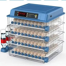 Incubateur 300 œufs
