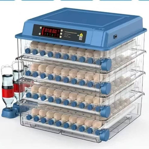 Incubateur 300 œufs