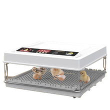 Incubateur 130 œufs