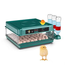 Incubateur 72 œufs