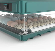 Incubateur 130 œufs