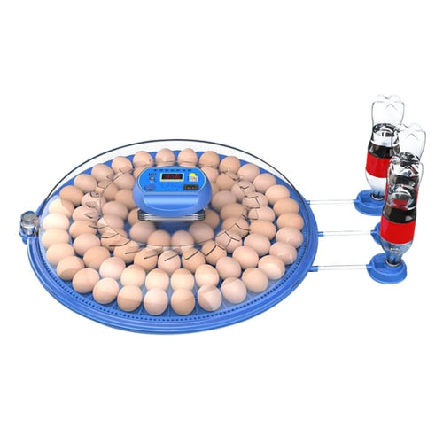 incubateur 80 œuf