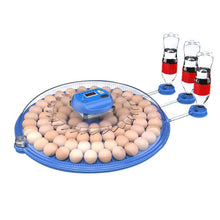 incubateur 80 œuf